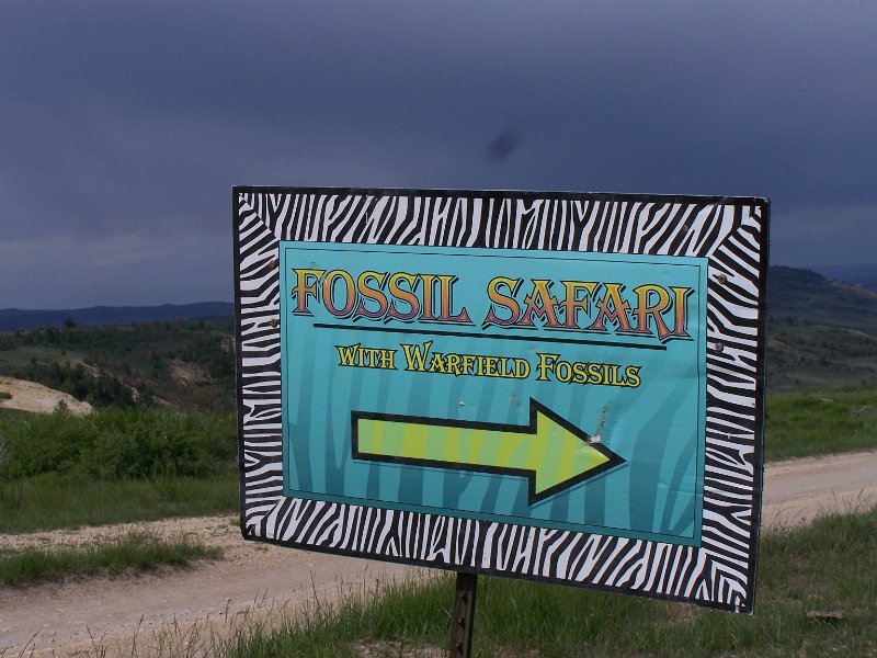 Field Trips/2009 Montana Utah Field Trip/No 61 Warfield Fish fossils